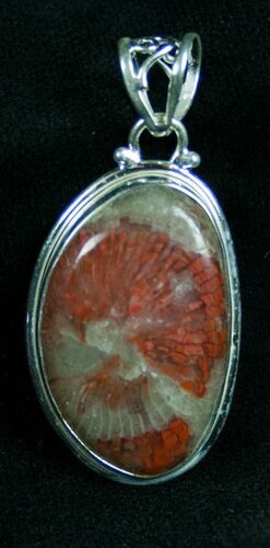 Fossil Red Horn Coral Pendant - Utah #7281